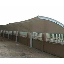 合肥钢结构雨棚、合肥恒硕、钢结构雨棚车棚