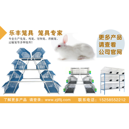 自动化兔笼|乐丰笼具厂家|兔笼