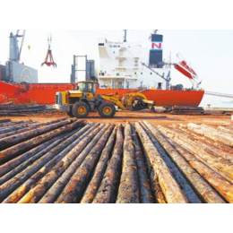 东南亚与非洲进口木材的报关流程及注意事项