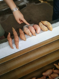 供应东北土豆清洗机  彦博1500型毛辊清洗设备缩略图