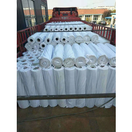 山东大型设备生产 PVC 防水卷材 内增强PVC防水卷材价格