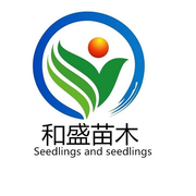 潢川县和盛苗木种植专业合作社