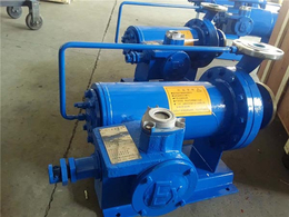 屏蔽泵生产厂家-科海泵业(在线咨询)-绵阳屏蔽泵