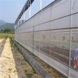 厂家*各种宽度单卷防虫网也可加工定制防虫网40-60目