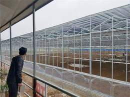 智能大棚-青州瀚洋农业(图)-智能大棚建造