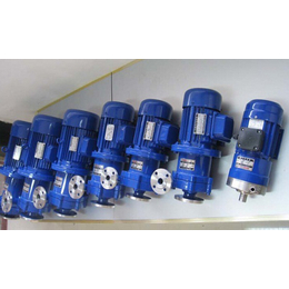 氟塑料磁力泵(图),不锈钢磁力泵厂家,池州磁力泵