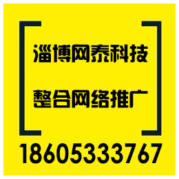 淄博百度智能小程序联系方式-博山百度智能小程序-淄博网泰科技