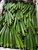 细长浓绿的水果秋葵种子缩略图1