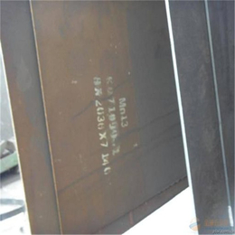 Mn13锰钢板现货|龙泽Mn13*钢板(图)