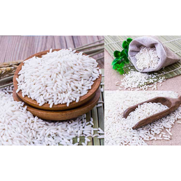 海南特产原味椰子速食米生产机械 方便米饭速食米加工设备