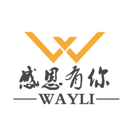 WAYLI中美物流专线亚马逊被视为拥有交付业务的方式