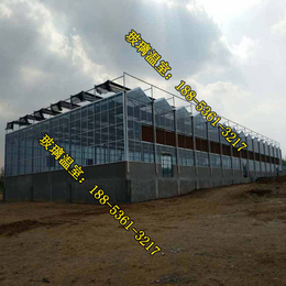 玻璃温室建造施工队,钢结构玻璃温室的价格,巴彦淖尔玻璃温室
