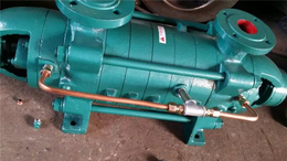 立式多级泵多少钱-江西立式多级泵-强盛泵业