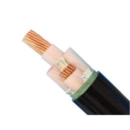 聊城高压电缆_柏康电缆_山东高压电缆联系方式