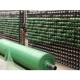 绿色盖土网-巨东化纤(在线咨询)-南宁盖土网