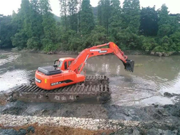 民强水陆挖掘机(图)-大型湿地挖掘机-东莞湿地挖掘机
