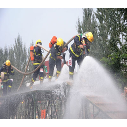 消防-中望消防-上海消防网上备案查询