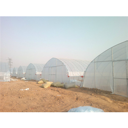 安阳温室食用菌大棚搭建费用|【富农温室】|安阳温室食用菌大棚
