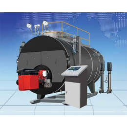 尚亿锅炉(在线咨询)、合肥蒸汽锅炉、小型家用蒸汽锅炉