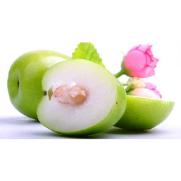 贺州苹果枣|满园香|苹果枣多少钱一斤