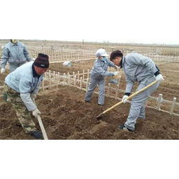 无*蔬菜种植基地、无*蔬菜、天津市萱庭果蔬