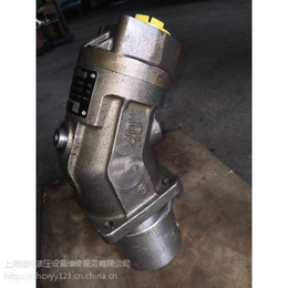 上海厂家直接维修大象10W30液压油泵
