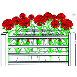 百合支撑网批发价、种植网、泰泽种植网