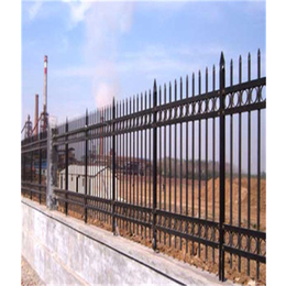 锌钢围墙防护网厂|锌钢围墙防护网|晟卿丝网