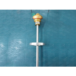 热电阻型号-热电阻-中电天仪