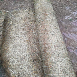 山西太原矿山*绿化环保植草毯   带草籽环保草毯
