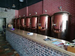 500L精酿啤酒设备商用大型自酿啤酒机器500升糖化罐发酵罐缩略图