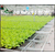 河北棚室蔬菜移动潮汐苗床是一种食品级塑料结构的栽培床缩略图1