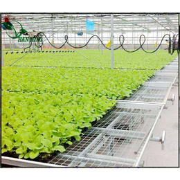 辽宁温室多功能种植马铃薯移动苗床育苗箱的架构厂家报价