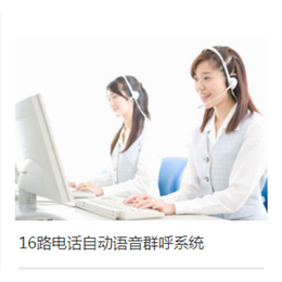 安庆16路呼叫中心电话自动语音*系统缩略图