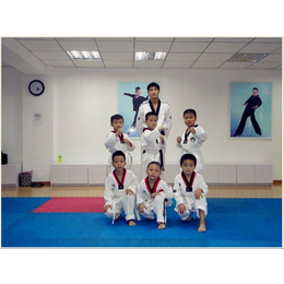 小学生跆拳道培训班|名扬武校(在线咨询)|巴南区跆拳道培训