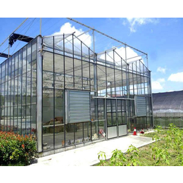玻璃大棚价格|合肥小农人大棚厂家|合肥玻璃大棚