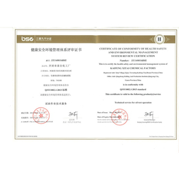 中国认证技术*办理(图)_hse认证公司_hse认证