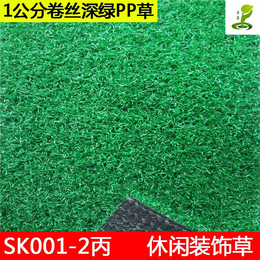休闲装饰*园塑料假草坪1公分卷丝PP材质高尔夫绿色地毯草