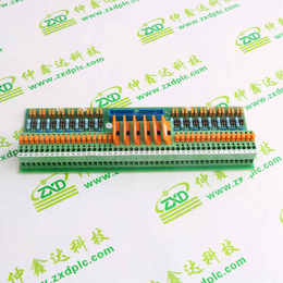 IC200MDL243