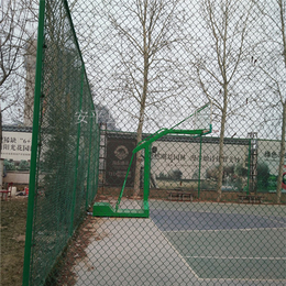 足球场围栏供应|长春足球场围栏|东川丝网(查看)