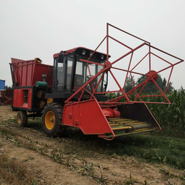 大型玉米秸秆收获青储机价格 牧草收割粉碎机行情