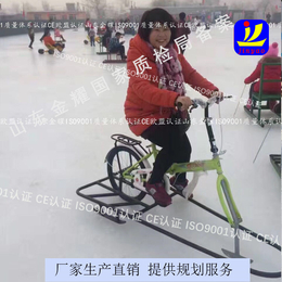 逐流直致远方雪地摩托车 冰上自行车儿童电动滑雪车戏雪乐园设备