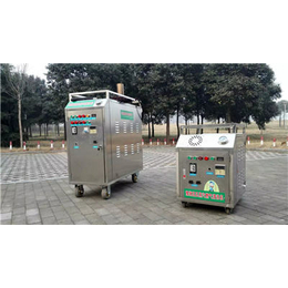 靖江蒸汽洗车机、豫翔机械(图)、水蒸汽洗车机