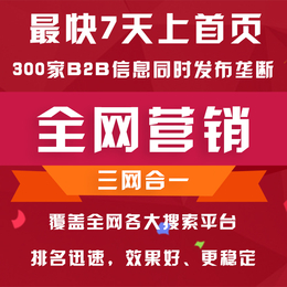 网络营销 整合全网推广 上千家信息平台信息发布 迅速占领首页