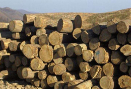 大连原木木材进口海关是怎样收税的