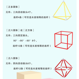 立体几何教具采购-供应立体几何教具-三维模型制作，聪咪(图)