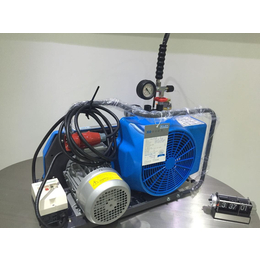 JII-E-H呼吸器*电动空气压缩机BC163099B-T