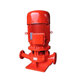 消防泵定制、广州凯士比(在线咨询)、消防泵