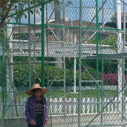 东川丝网(图),足球场围栏生产,宜春足球场围栏