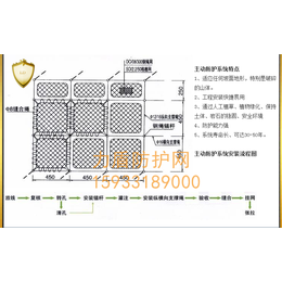 边坡防护网厂家* 边坡防护网详情 边坡防护网报价